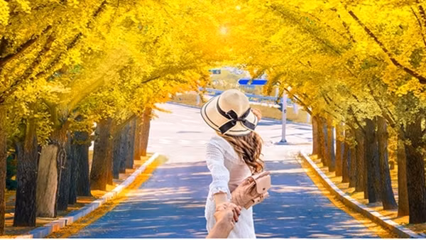 Vi vu xứ Hàn ngắm lá phong mùa thu với thẻ tín dụng VIB