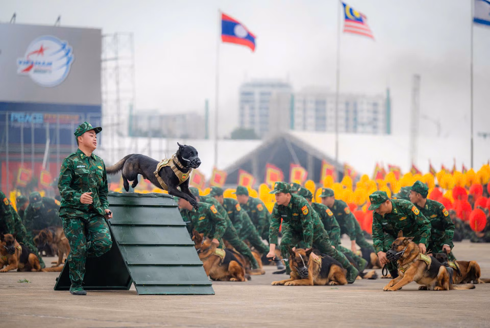 Chó nghiệp vụ từng cứu hộ Làng Nủ, trình diễn phục vụ người dân tham quan Triển lãm Quốc phòng quốc tế Việt Nam 2024 -0