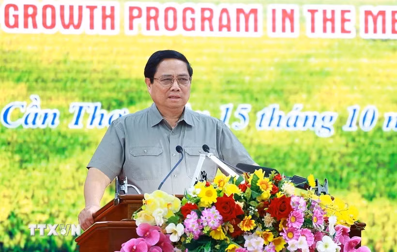 Thủ tướng chủ trì Hội nghị triển khai Đề án 1 triệu hécta lúa chất lượng cao -0