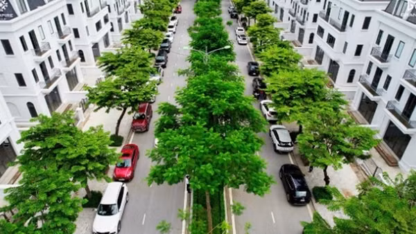 Solasta Mansion - Không gian sống cho giới thượng lưu
