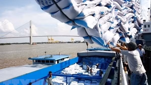 Việt Nam xuất khẩu gạo sang 54 quốc gia châu Phi