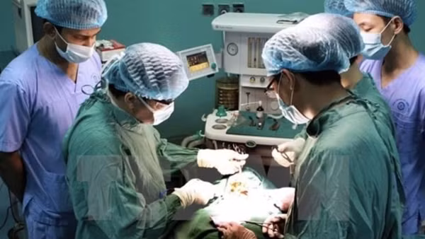 Tuân thủ quy định nhưng không được làm gián đoạn việc ghép gan cho trẻ em