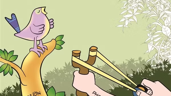 Phỏng vấn một con cọp đề nghị “phong sát” nghệ sĩ