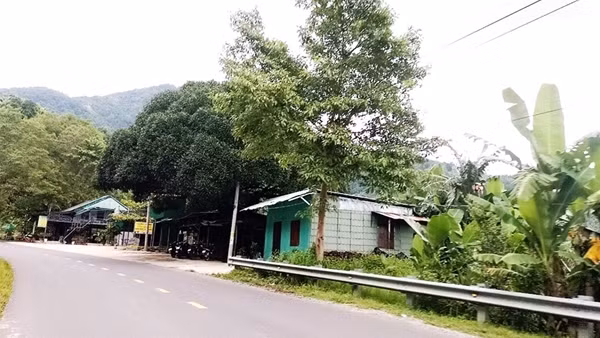 Xử lý nhiều quán xá mọc “chui” ở đèo Ngoạn Mục