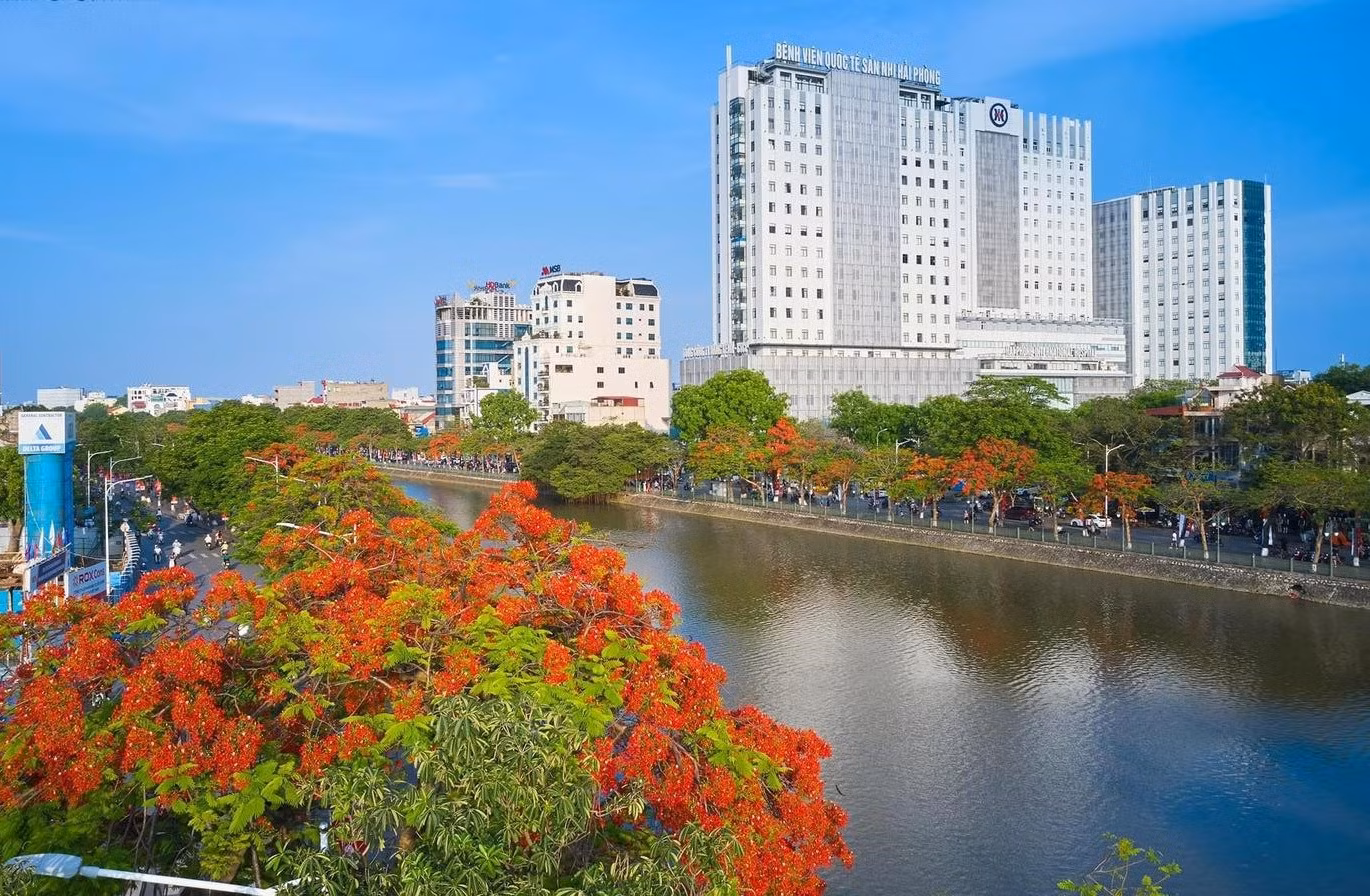 Hải Phòng - thành phố của hoa -0