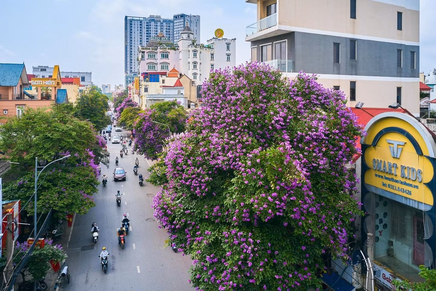 Hải Phòng - thành phố của hoa -0