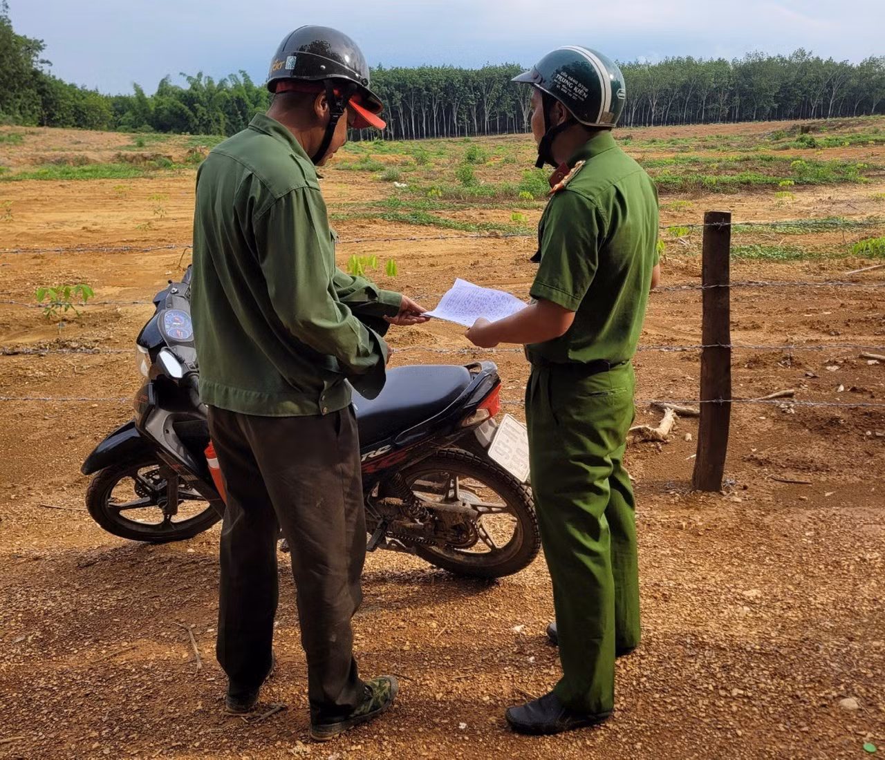 Đứng ra tố cáo phá rừng, một hộ dân bị hủy hoại vườn cao su -0