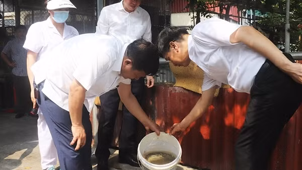 Hà Nội: Gần 500 ca sốt xuất huyết mỗi tuần; chỉ số muỗi, bọ gậy ở ngưỡng cao