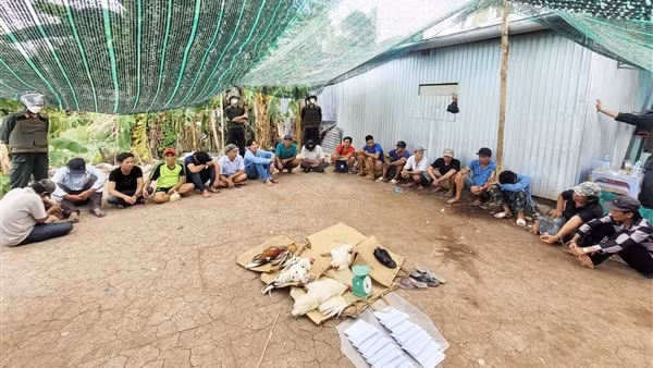 Bắt quả tang 18 đối tượng đá gà ăn tiền