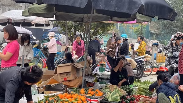 Sức mua tăng, thị trường giữ giá ổn định, hàng hóa dồi dào
