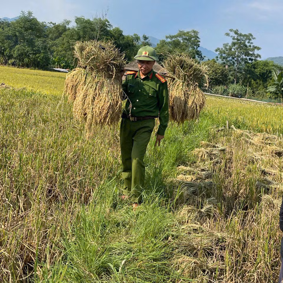 2. bất chấp thời tiết nắng nóng, không khí lao động và tinh thần làm việc hăng say, nhiệt tình của cán bộ, chiến sĩ công an xã nghĩa đô đã giúp niềm vui được mùa thêm la tỏa..jpg -1