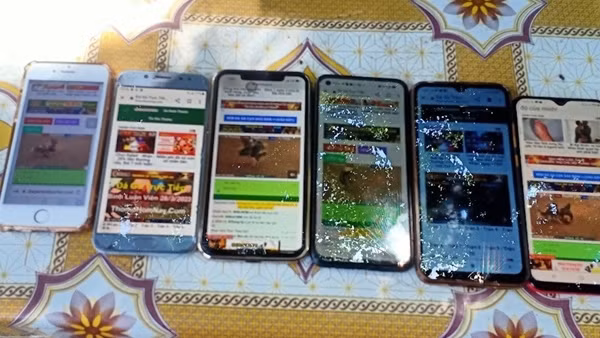 Triệt xóa nhóm đối tượng tổ chức đá gà qua mạng với nhà cái tại nước ngoài