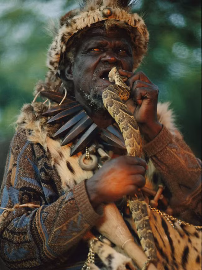 afri3.jpeg -0