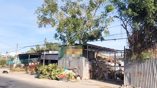 Đi chặt cây thuê, nam thanh niên ở Bạc Liêu bị điện giật tử vong