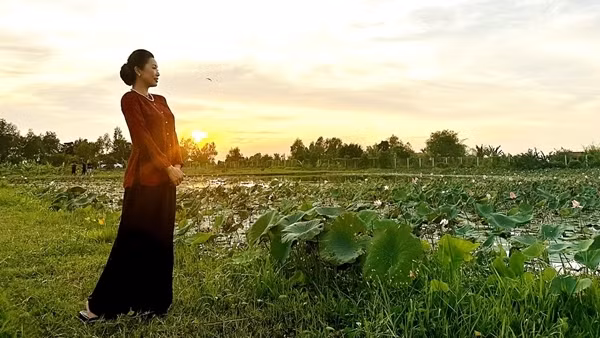 Đất đai qua văn chương