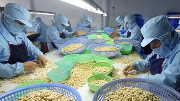 Việt Nam có 30 mặt hàng đạt kim ngạch xuất khẩu trên 1 tỉ USD ảnh 3