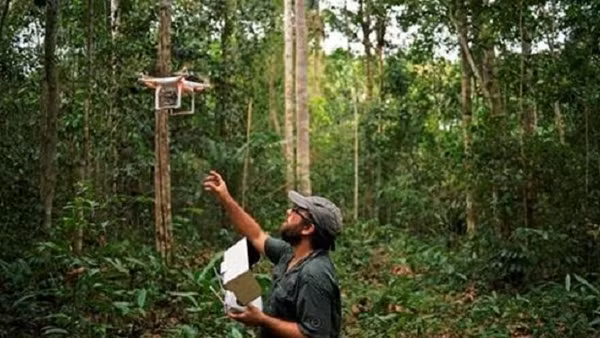 “Ngân hàng Carbon Thế giới” là gì? ảnh 2