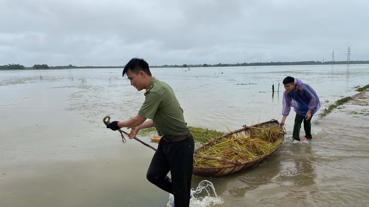 Giúp dân gặt lúa sau đợt mưa lớn kéo dài -0