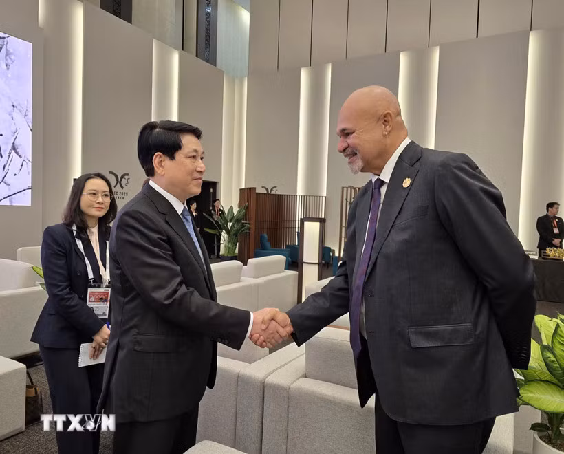 Chủ tịch nước Lương Cường gặp lãnh đạo một số thành viên APEC -0