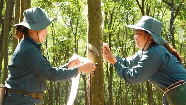 VRG củng cố vị thế Tập đoàn nông nghiệp - công nghiệp hàng đầu với những bước tiến mạnh mẽ trong năm 2025