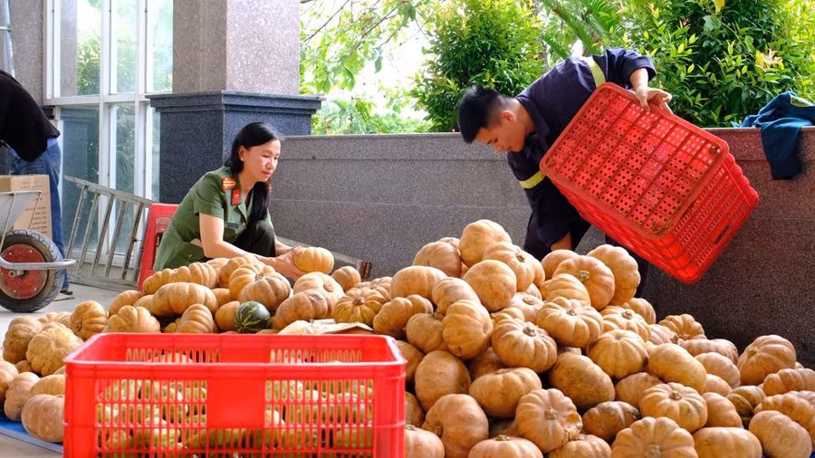 Hàng chục tấn nông sản tươi rói đến với bà con vùng lũ Khánh Hòa -1