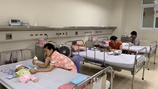 Hà Nội ghi nhận ca viêm não Nhật Bản đầu tiên