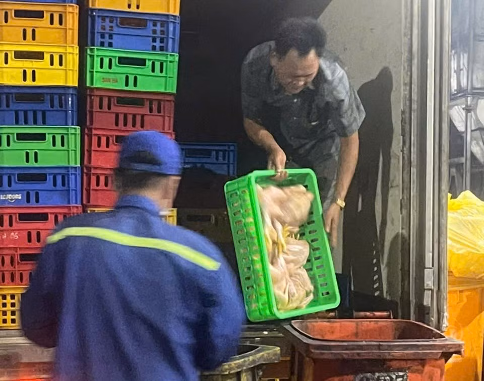 TP Hồ Chí Minh: Liên tiếp phát hiện, tiêu hủy hàng tấn sản phẩm động vật không rõ nguồn gốc -0