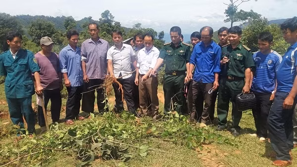 Ngăn cái chết đến từ lá ngón