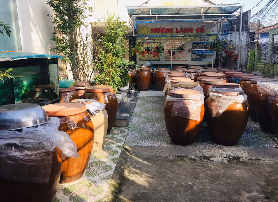 Mùa cá cơm than đến làng Nam Ô -0