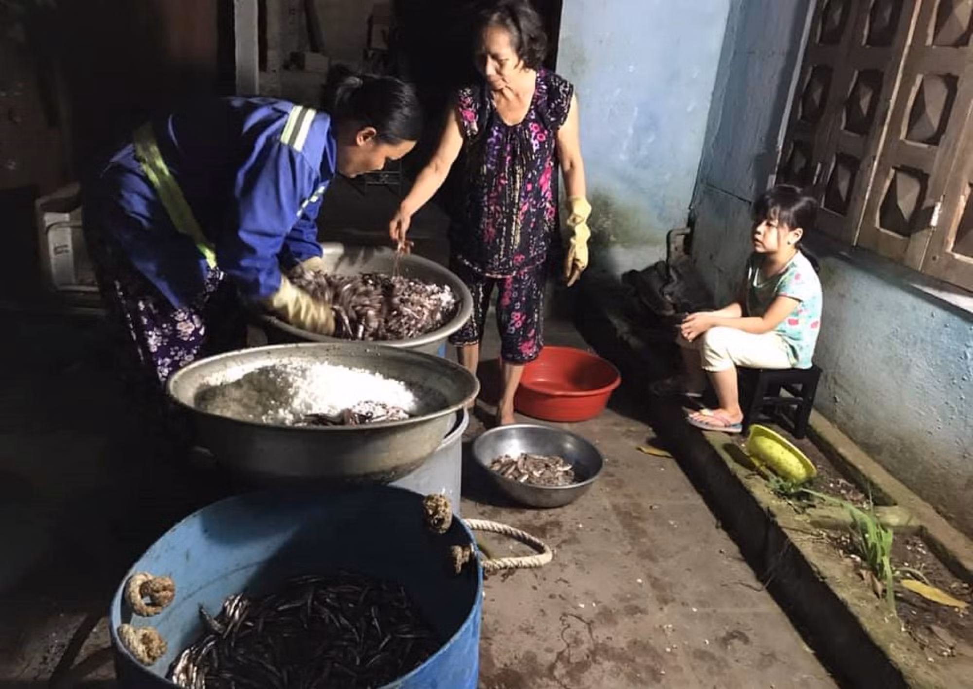 Mùa cá cơm than đến làng Nam Ô -0
