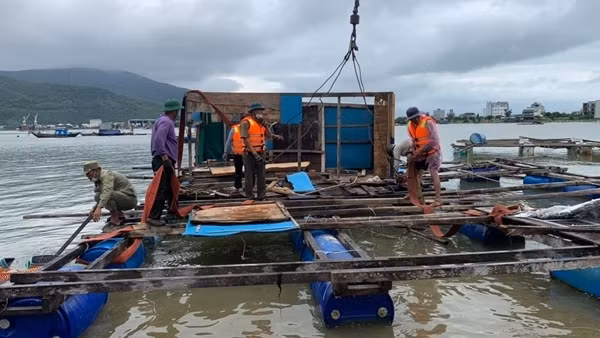 Dai dẳng vấn nạn đánh bắt thủy sản theo kiểu hủy diệt ảnh 2