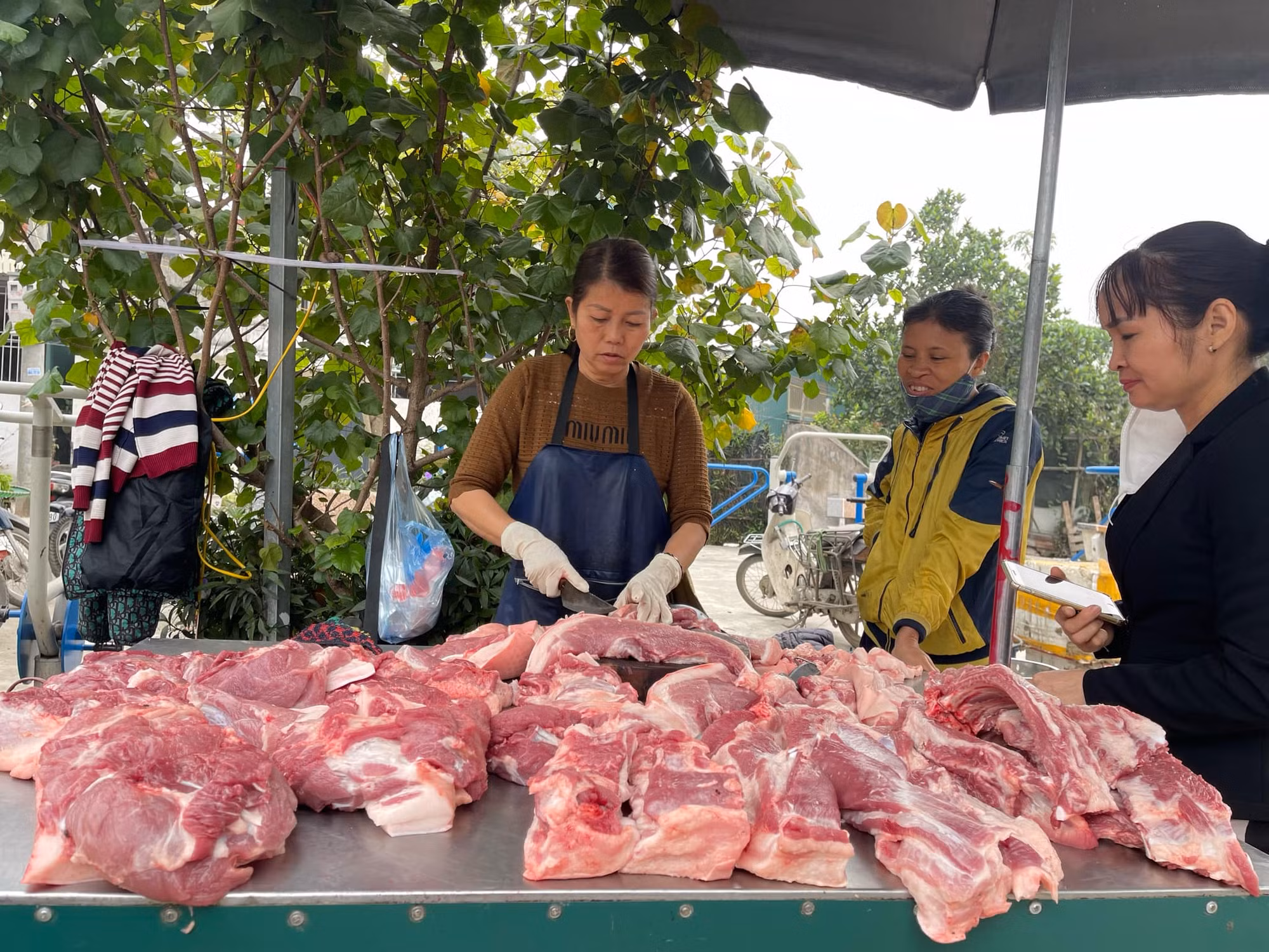Giá lợn hơi miền Bắc tiếp đà giảm nhẹ -0
