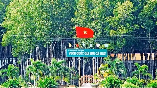 Bắt tạm giam nguyên Giám đốc Vườn Quốc gia Mũi Cà Mau tham ô tiền tỷ