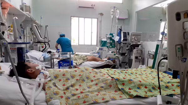 TP Hồ Chí Minh: Gần 60.000 ca sốt xuất huyết, ca nặng tăng gần 4 lần
