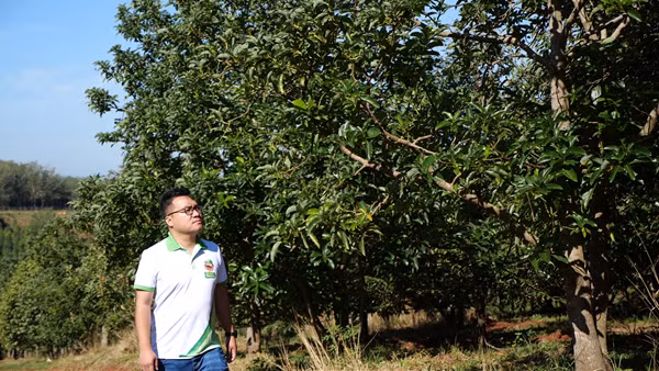 Vinh danh 100 nông dân Việt Nam xuất sắc năm 2022