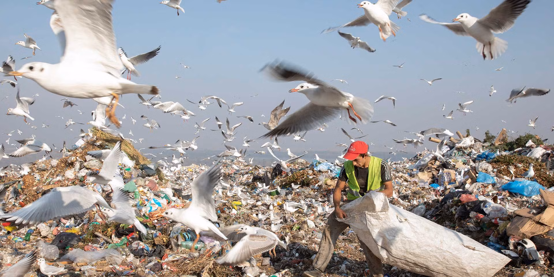 1_a large garbage dump and birds.jpg -0