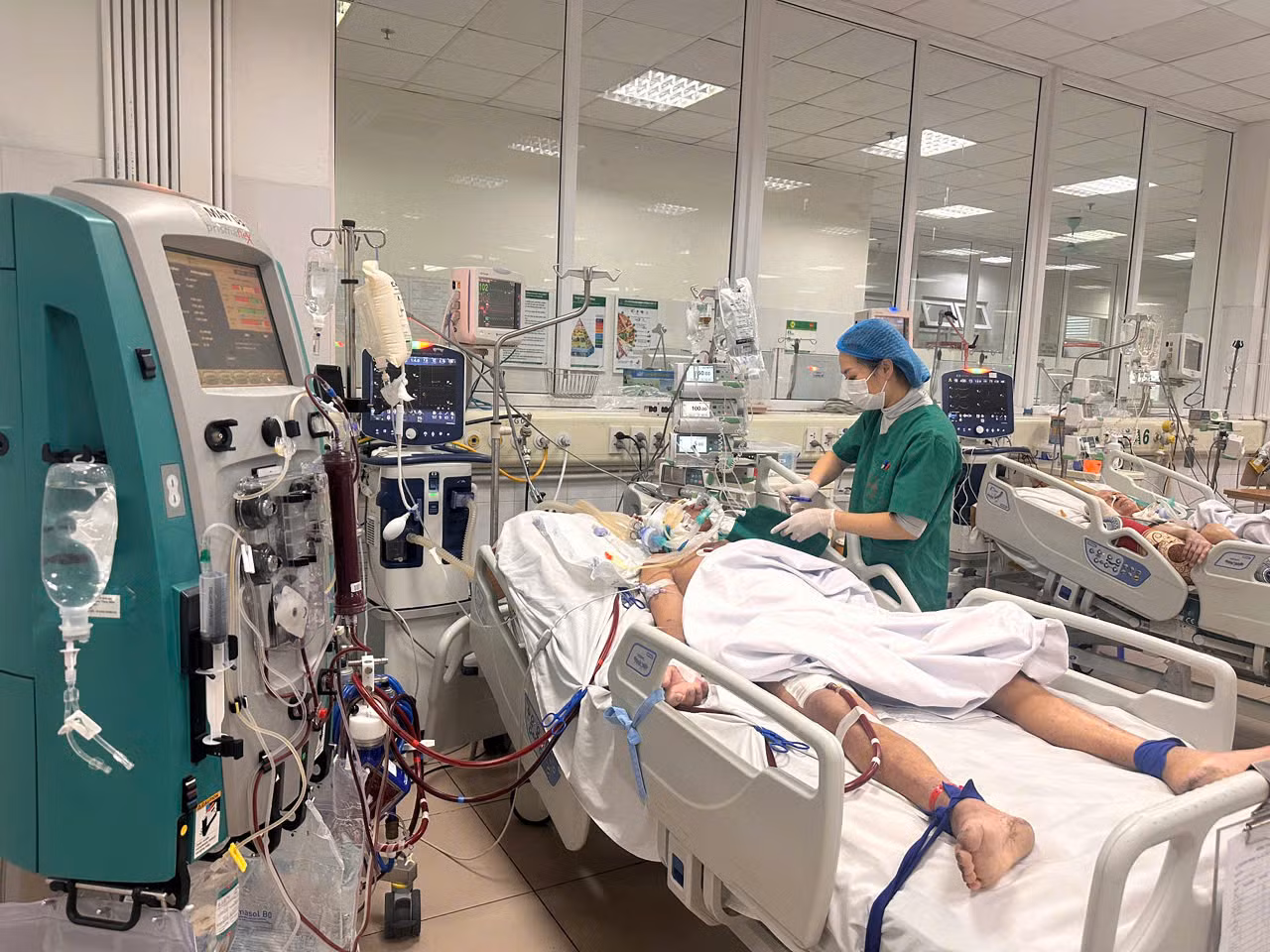 Nhiều người mắc cúm A, có người nguy kịch -0