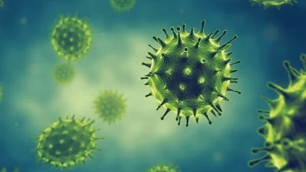 Năm 2025 chưa ghi nhận virus cúm thay đổi độc lực