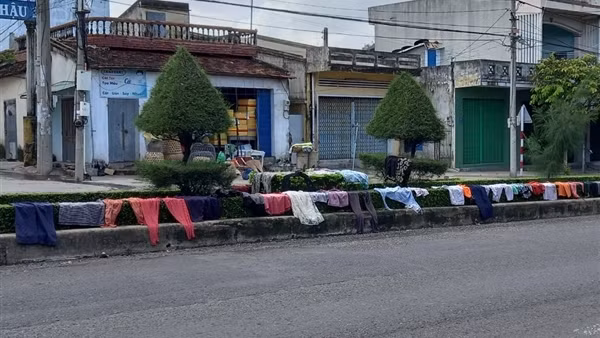 Chủ tịch UBND TP Tuy Hoà chỉ đạo xử lý vụ việc Báo CAND phản ánh ảnh 4