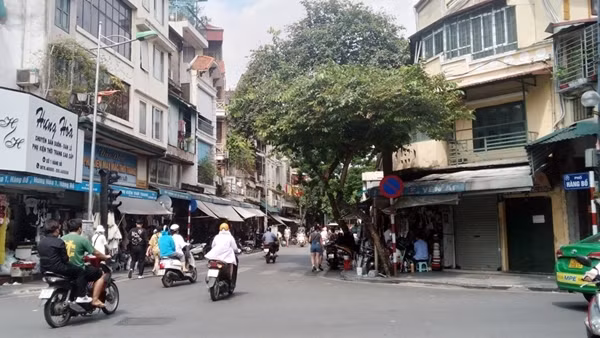 “Chiều mùa thu gió về rộng trên phố phường”