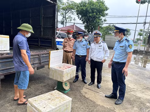 Hàng giả, hàng xâm phạm quyền sở hữu trí tuệ gia tăng -0