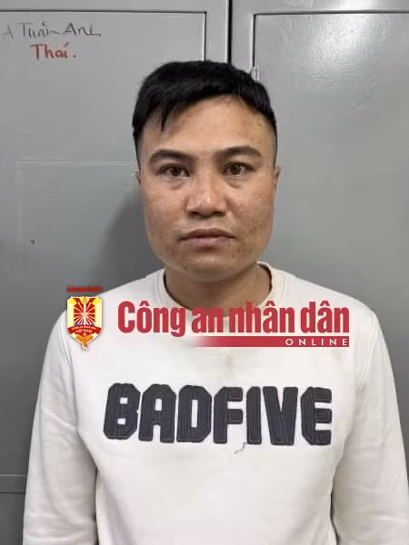 Triệt phá đường dây mại dâm nước ngoài -0