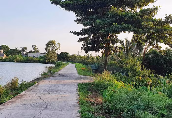 Vụ án mạng chao đảo một vùng quê -0