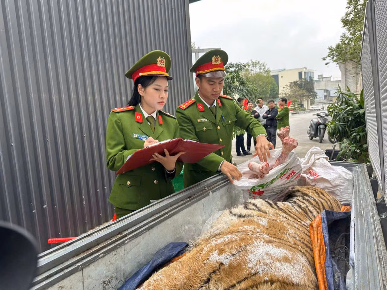 Siết chặt “vòi bạch tuộc” tội phạm động vật hoang dã -0