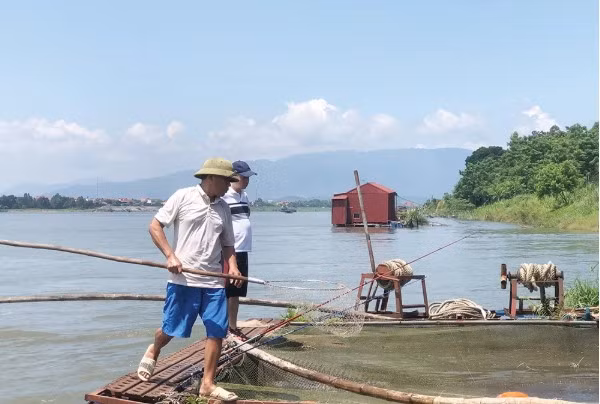 san cá chiên 1.jpg -0