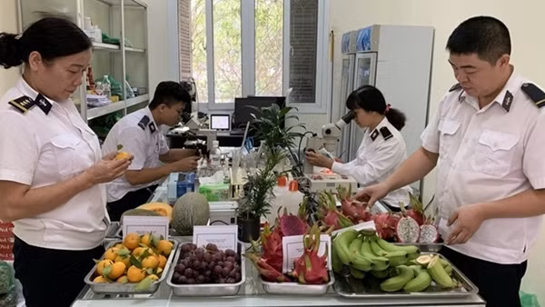Tạm lùi thực hiện Nghị định 46 đến khi Luật An toàn thực phẩm sửa đổi có hiệu lực