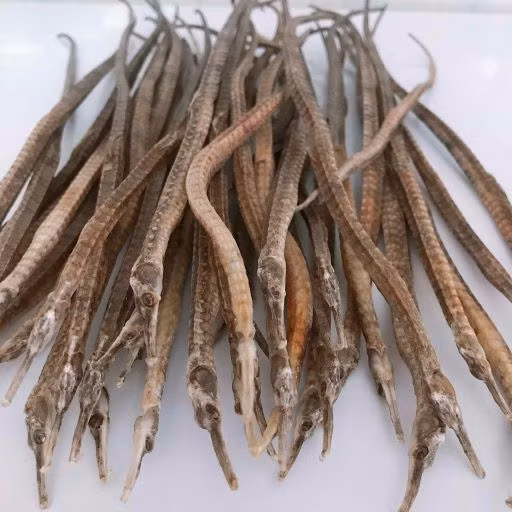 Các vị thuốc mang tên Rồng -0