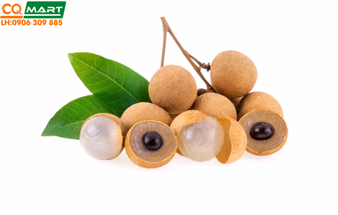 Các vị thuốc mang tên Rồng -0