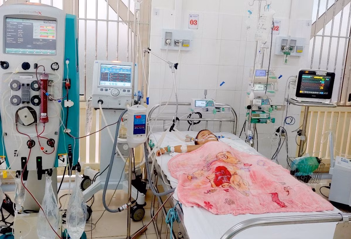 Cứu sống cháu bé 5 tuổi nguy kịch tính mạng do ong đốt -0