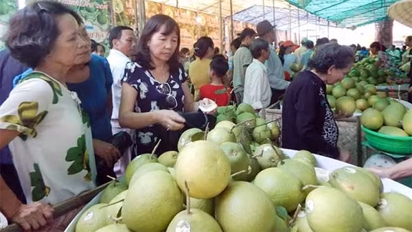 Phát triển thương hiệu đặc sản thanh trà Huế